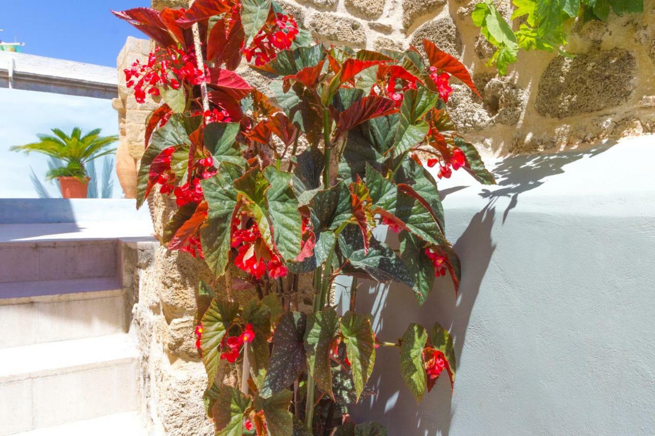 Colours - Old Town - Studios Rhodes City Dış mekan fotoğraf